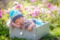 Cute newborn baby boy, sleeping peacefully in basket in garden Royalty Free Stock Photo