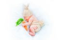 Cute newborn baby boy wearing knitted bunny costume Royalty Free Stock Photo