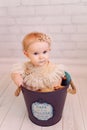 Cute newborn baby in creative decoration bucket bag. Infant girl sitting inside bowl. Pinky colours Royalty Free Stock Photo
