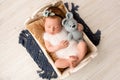 A cute newborn baby girl in with a flower bandage sleeps in a wooden crib. Royalty Free Stock Photo