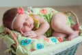 Cute newborn baby girl in a pink knit romper sleeping on a felted green blanket in a basket Royalty Free Stock Photo