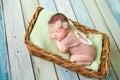Cute newborn baby girl in a pink knit romper Royalty Free Stock Photo