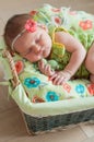 Cute newborn baby girl in a pink knit romper sleeping on a felted green blanket in a basket Royalty Free Stock Photo