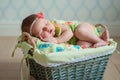 Cute newborn baby girl in a pink knit romper sleeping on a felted green blanket in a basket Royalty Free Stock Photo