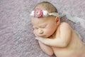 Newborn girl sleeping on her side in flower hairband, close-up Royalty Free Stock Photo