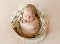 Cute newborn baby girl studio portrait Royalty Free Stock Photo