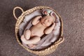 Cute newborn baby girl wearing flower headband sleeps in basket. Royalty Free Stock Photo