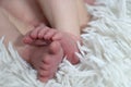 Cute newborn baby with rabbit ears playing with bunny toy feedin Royalty Free Stock Photo