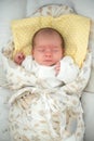 Cute newborn baby sleeping in swaddle wrap with smile on her face Royalty Free Stock Photo