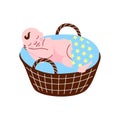 Cute Newborn Baby Sleeping in Wicker Basket Vector Illustration Royalty Free Stock Photo