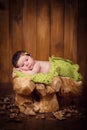 Cute newborn baby in a wreath of cones and berries lies on a stub.