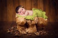 Cute newborn baby in a wreath of cones and berries lies on a stub.