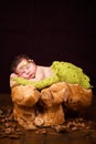 A cute newborn baby in a wreath of cones and berries sleeps on a stub.