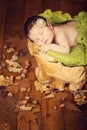 A cute newborn baby in a wreath of cones and berries sleeps on a stub.