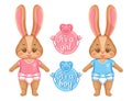 Cute newborn bunny, baby shower. Announcement child birth. It`s boy, girl. New born daughter, son. Infant rabbit twins. Vector Royalty Free Stock Photo