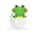 Cute newborn crocodile character, funny reptile in egg shell cartoon Illustration