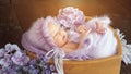 Cute newborn girl in violet woolen garment in wooden basket