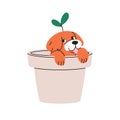 Cute newborn puppy. Funny small dog peeking out from plant pot. Little amusing tiny pup in planter. Happy joyful excited Royalty Free Stock Photo