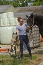 Cute newborn riding horse colt stands next to a woman in the grass. At the farmyard, yellow dun color. Dog behind the foal Royalty Free Stock Photo