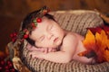 Cute newborn in a wreath of cones and berries in a wooden nest with autumn leaves. Royalty Free Stock Photo