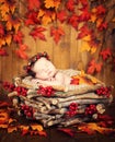 Cute newborn in a wreath of cones and berries in a wooden nest with autumn leaves. Royalty Free Stock Photo