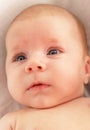 Cute newbornbaby Royalty Free Stock Photo