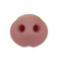 Cute nose of pig. head of little Piggy