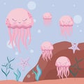 Cute octopuses with starfish avatar character