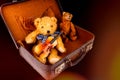 cute old vintage teddy bears sitting inside an old suitcase holding a violin Royalty Free Stock Photo