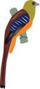 Cute Orange-breasted Trogon vector