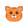 Cute orange cat striped face, funny portrait of ginger kitten