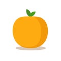 Cute orange citrus icon vector illustration, simple mandarin orange tangerine fruit image Royalty Free Stock Photo