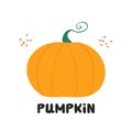 Cute orange doodle pumpkin with doodle dots and lettering. Harvest autumn concept. Isolated on white background. Vector stock