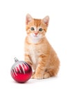 Cute orange kitten with large paws sitting next to a Christmas O