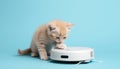 Cute orange kitten touching a robotic vacuum cleaner on a bright blue background. Royalty Free Stock Photo