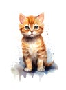 Cute orange kitten on white background. Royalty Free Stock Photo