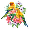 Cute orange parrots. Tropical leaves, flowers and birds, isolated background, watercolor illustration. Pair lovebirds