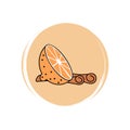 Cute orange slice and cinnamon icon vector, illustration on circle with brush texture, for social media story and instagram highli