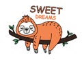 Cute orange sloth