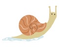 Cute Orange Snail Royalty Free Stock Photo