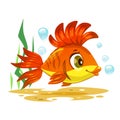 Cute orange tropical fish.