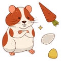 Cute orange and white hamster, carrot, corn kernel, pumpkin seed. Isolated on a white background