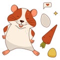 Cute orange and white hamster, carrot, corn kernel, pumpkin seed, sms. Isolated on a white background