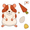 Cute orange and white hamster, carrots, corn kernels, pumpkin seed, sms. Isolated on a white background