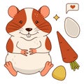 Cute orange and white hamster, carrots, corn kernels, pumpkin seed, sms. Isolated on a white background