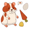 Cute orange and white hamster, carrots, corn kernels, pumpkin seed, sms. Isolated on a white background