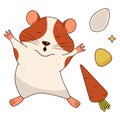 Cute orange and white hamster stretches and yawns, carrots, corn kernels, pumpkin seeds. Isolated on a white background