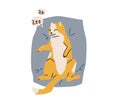 Cute orange and white spotted cat sleeping on back on a grey pillow. Snore lettering in bubble element. Vector