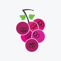 cute Organic Fruit Character Illustration