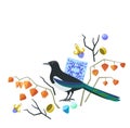 Cute original illustration with magpie, majolic elements, physalis and jewelry. Vector illustration. Royalty Free Stock Photo